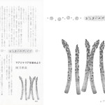 ■文藝春秋 ― オール讀物 『おしまいのページで』  挿絵連載・2016年3月号